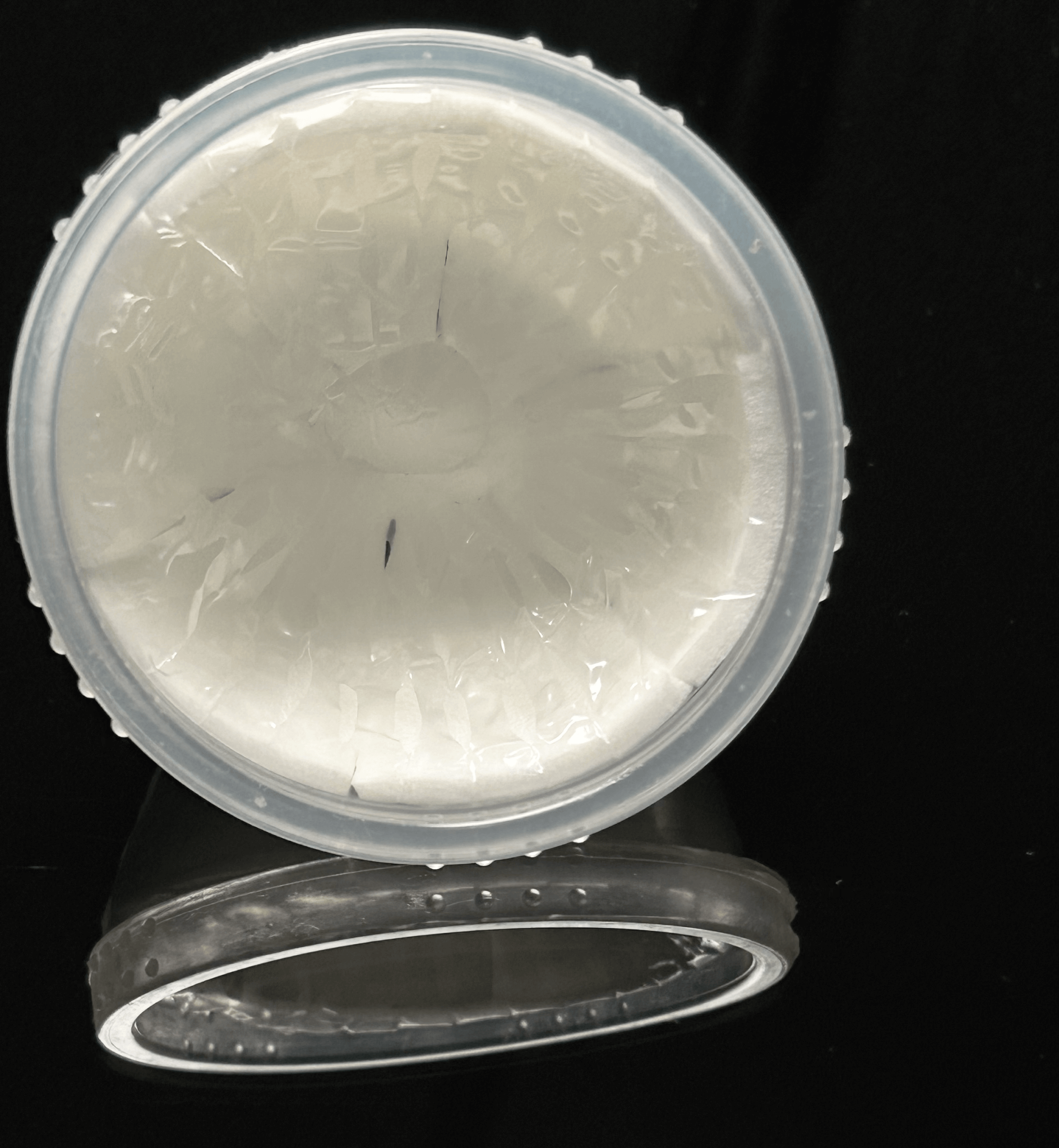 Forward faced Anu absorbent menstrual disc